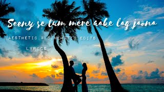 Seene Se Tum Mere Aake Lag Jao Na Lyrics female version❤️ Romantic 😍 WhatsApp Status😘Arijit Singh [upl. by Everson568]