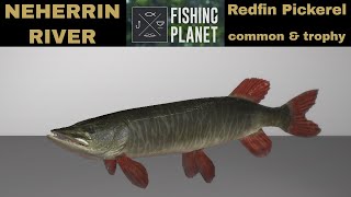 Fishing Planet Neherrin River Redfin Pickerel Common amp Trophy [upl. by Ettezil941]