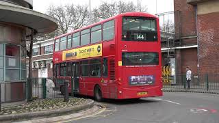 Buses in Turnpike Lane bus station 10th February 2020 [upl. by Edris]