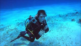 Cozumel Diving Santa Rosa Shallows [upl. by Jonathan]