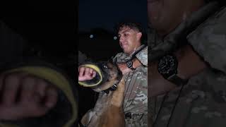 US Air Force Security Forces  アメリカ空軍憲兵隊＆警務隊（空軍警備隊） 夜間作戦のK9軍用犬（わんちゃん） 戦闘・格闘訓練【第374憲兵中隊】 ＠横田基地（東京都） [upl. by Lusa]