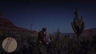 Red Dead Redemption 2 How To Get The California Horned Owl [upl. by Fates]