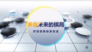 WeiqiTV  AlphaGo vs AlphaGo review Fan Hui 2p [upl. by Gustavus148]