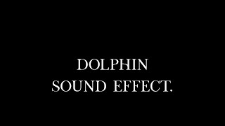 Energetic Dolphin Splashing in the Ocean Waves Sound Effect [upl. by Wesley]