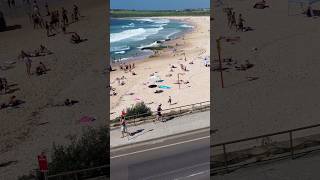 shorts maroubra beach australia beachlife viral explore travel vlog surf best ocean [upl. by Sidhu699]