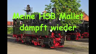 Mallet mit neuen Verdampfer [upl. by Ycart443]