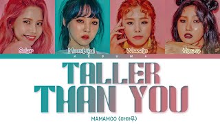 MAMAMOO 마마무  Taller Than You 1cm의 자존심 Color Coded Lyrics EngRomHan [upl. by Charleen382]