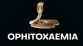 Ophitoxaemia  Snake bite management  Snake envenomation [upl. by Desdee35]