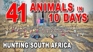 41 Animals in 10 Days  South Africa  quotSafari Abroadquot  Sandstone Safaris [upl. by Pardo924]