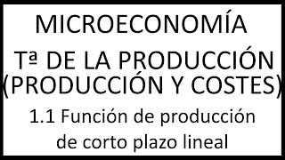 11 Función de producción de corto plazo lineal [upl. by Nemlaz]