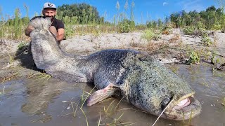 Siluro gigante a Spinning sul fiume Po in piena by Yuri Grisendi [upl. by Tehcac390]