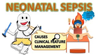 Neonatal sepsis risk factors septic screening  management etc NEONATOLOGY SERIES CH4 [upl. by Manson]