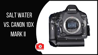 Salt Water vs Canon 1Dx Mark II – Camera Breakdown [upl. by Bailar]