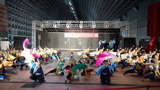 【龍谷大学 華舞龍】龍馬よさこい2024 1110日）JR京都駅 室町小路広場会場 [upl. by Innaig]