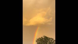 Stunning Napa Valley Rainbow by PRESS Restaurant in St Helena [upl. by Adikram]