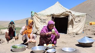 A Day Life in the Mountains Nomadic Life in Afghanistan and Cooking Traditional Food in the Village [upl. by Anatnom251]