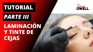 Cómo hacer un diseño de cejas  Tutorial 3  Laminación y tinte de cejas [upl. by Nera]