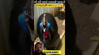 😱⚡हे प्रभु है हरे राम😨😟😱🔥 amazingfactsstrangebirds birdsscarynoisesanimals factsinhindifacts [upl. by Lled]