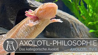 Das kategorische Axolotl [upl. by Tab523]