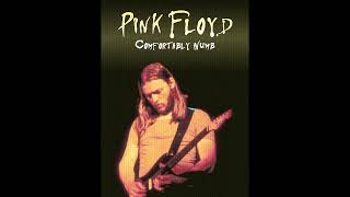 Pink Floyd  Comfortably Numb Guitar Solo Backing Track  Original [upl. by Had937]