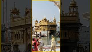 Rakhya De Shabad With Lyrics  Sikh Prayers shorts [upl. by Aihsakal738]