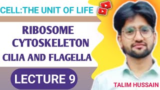 Cell the unit of life Ribosome Cytoskeleton Cilia and Flagella Lecture 9🔥 NEET 2025🔥 NCERT [upl. by Nosyerg469]