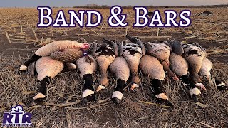 Specks amp Band on Last Day of Season  Kansas Goose Hunting 2022 [upl. by Noletta]