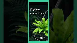 LeafSnap  Plant Identification [upl. by Neened]