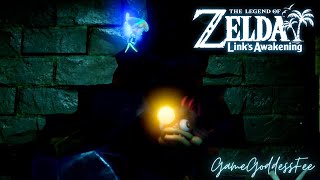 The Legend of Zelda Links Awakening Level 4  Anglers Tunnel [upl. by Anaytat148]