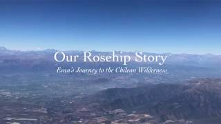 Our Rosehip Story  Evan’s Journey to the Chilean Wilderness [upl. by Aiseneg]