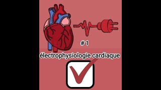 1électrophysiologie cardiaque physiologie cardiorepiratoire 2éme MED [upl. by Hulda]