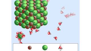 Solution Formation Animation [upl. by Haney12]