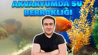 AKVARYUM SUYUNUN BERRAK OLMASI ŞAŞIRTICI Akvaryumda Berrak su için nelere yapmalıyız [upl. by Ainex]