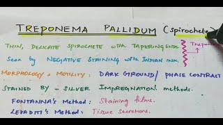 Treponema pallidum  Microbiology  Handwritten notes [upl. by Alistair928]