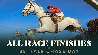 ALL RACE FINISHES FROM BETFAIR CHASE DAY AT HAYDOCK PARK RACECOURSE [upl. by Aicelef]