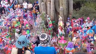 Carnaval de Humahuaca [upl. by Lieberman898]