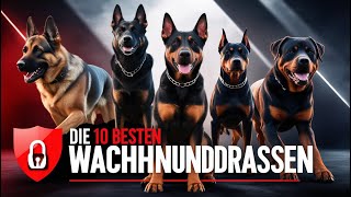 Top 10 Wachhunde Die besten Hunderassen zum Schutz und Bewachen  Pfotengeheimnisse [upl. by Ahar175]