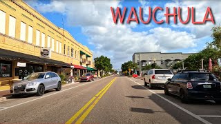 Wauchula Florida Driving Through [upl. by Haze]