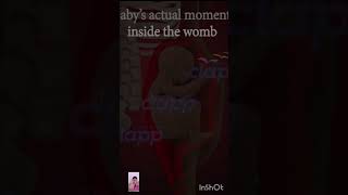 Babys Moments inside the womb 3D Animation shorts fetalmovement short [upl. by Tebazile]