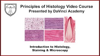 Introduction to Histology Staining and Microscopy [upl. by Fabien]