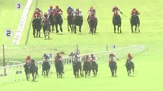 MYSTICAL MERLIN with Faiz up wins The Secunderabad Plate Div2 2024 RACE 50 [upl. by Oratnek663]