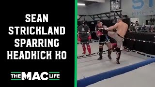 Sean Strickland KOs sparring partner with nasty head kick [upl. by Eimmit247]