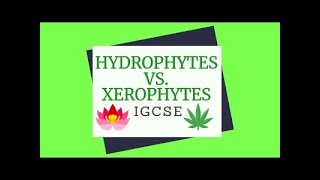 Xerophytes vs Hydrophytes [upl. by Apple239]