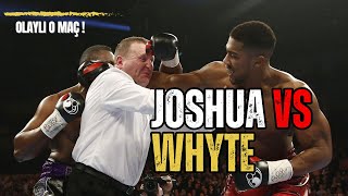 Anthony Joshua vs Dillian Whyte Full Fight [upl. by Marie-Jeanne323]