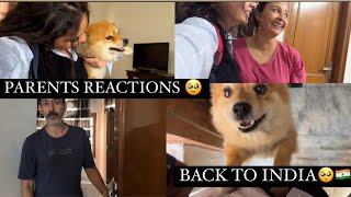 FINALLY BACK TO INDIA🇮🇳🥺PARENTS REACTION 🥹♥️ [upl. by Serdna]