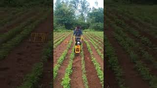 80 CC hand tractor weeder designed by Urvi Agrotech Pune [upl. by Syverson]