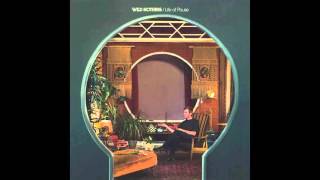 Wild Nothing  Whenever I Official Audio [upl. by Elyr928]