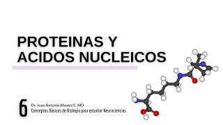 Proteínas y Ácidos Nucleicos [upl. by Nabalas]