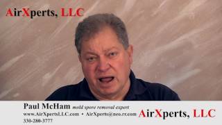 How To Get Mold Spores Out Of Your Home with Paul McHam 2 [upl. by Eul]