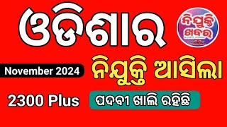 November 2024 ର ନିଯୁକ୍ତି ଆସିଲା ll 2300 Plus Job Vacancy at NRRMS ODISHA 2024 ll odiatechnozone [upl. by Oswal560]